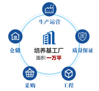 上海倍錦生物科技建設(shè)進(jìn)入沖刺階段